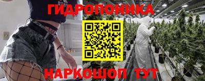 сатива Пыть-Ях