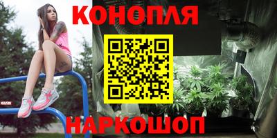 сатива Пыть-Ях