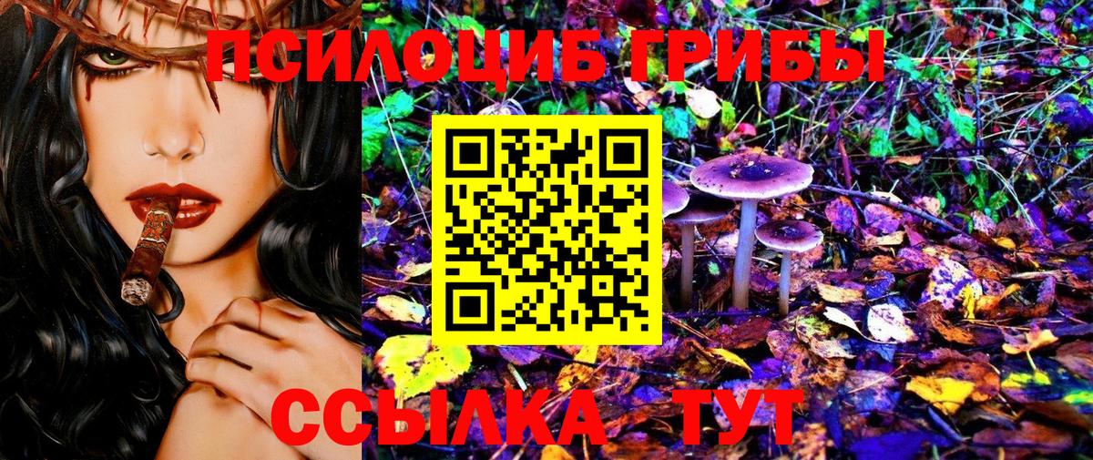 Галлюциногенные грибы Psilocybe Ростов-на-Дону